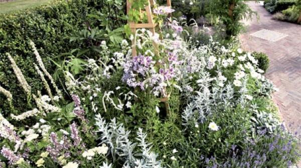 bucuria amenajarii gradinii pas cu pas