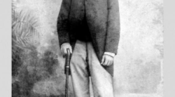 dar daca a tinut si adela un jurnal