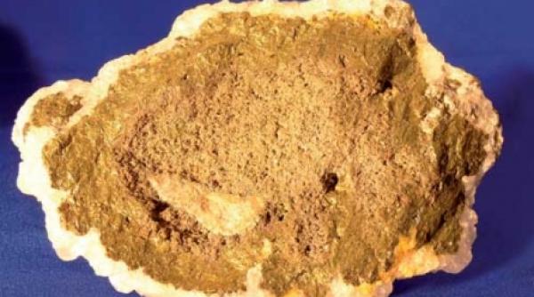 despre blesteme si comori ascunse