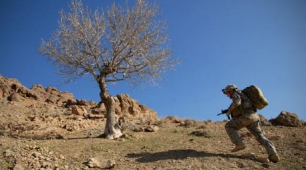 dotarea precara a militarilor din afganistan o nemultumeste pe regina marii britanii