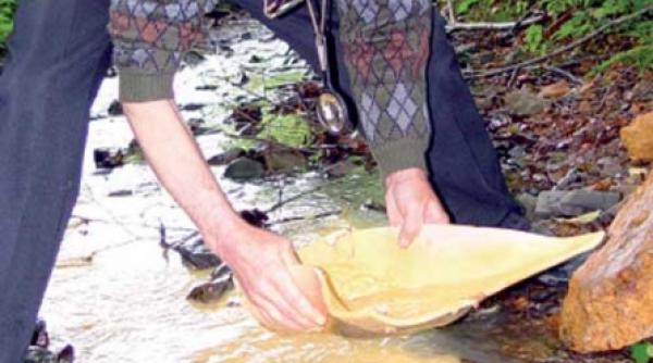 ultimul cautator autorizat