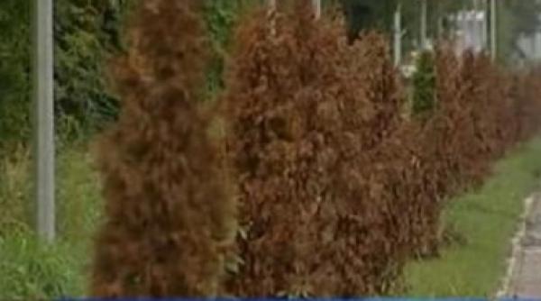 140 000 de euro s au uscat pe dn1