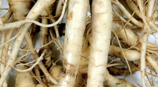 ginsengul energizant natural