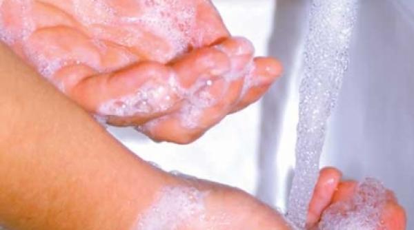 pleaca vacanta vine hepatita a