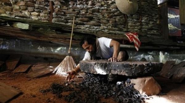 un thailandez traieste langa 4 600 de scorpioni