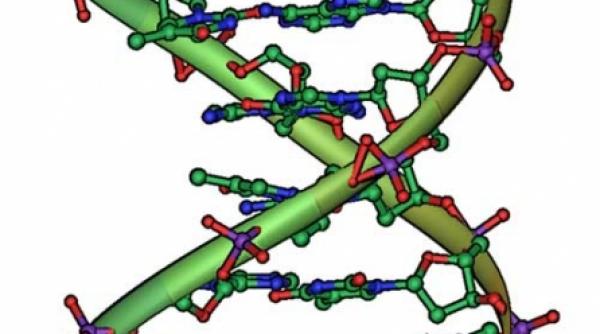 genele si boala alzheimer