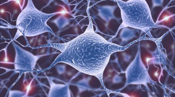 cum prevenim decesul neuronilor