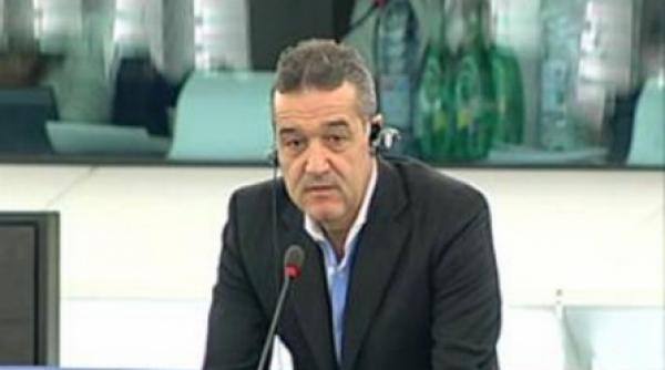 gigi becali le a vorbit europarlamentarilor despre arborele sau genealogic
