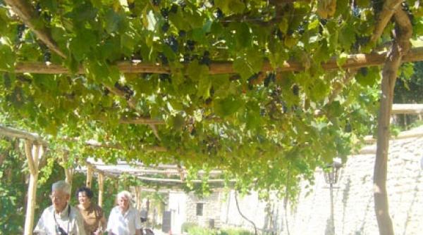 sa descoperim balcicul la inceput de septembrie