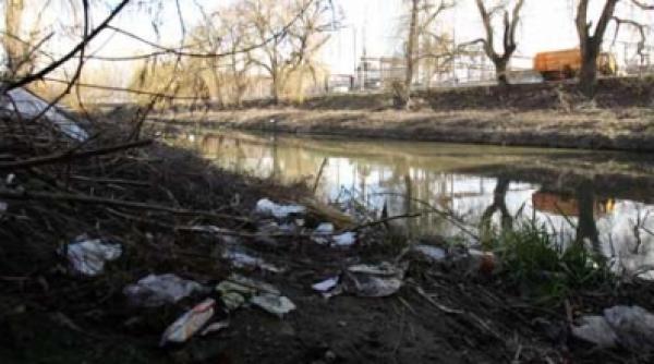 haideti sa curatam romania