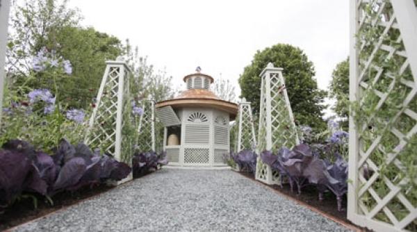 imbinati utilul cu placutul intr o gradina mixta cu stupina