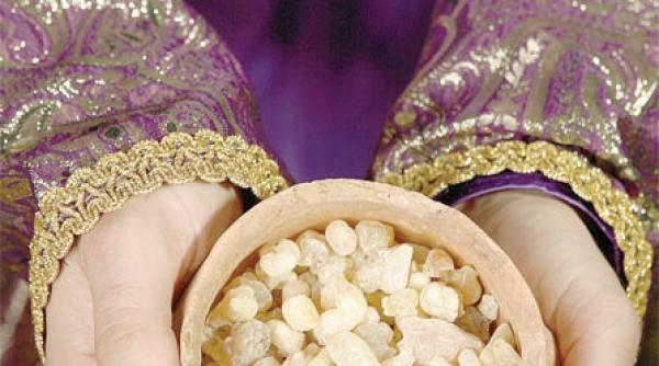 aroma care a strabatut desertul