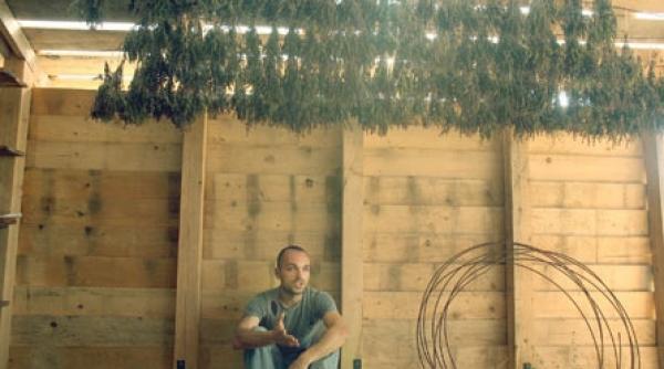 de la calculatoare la plante medicinale