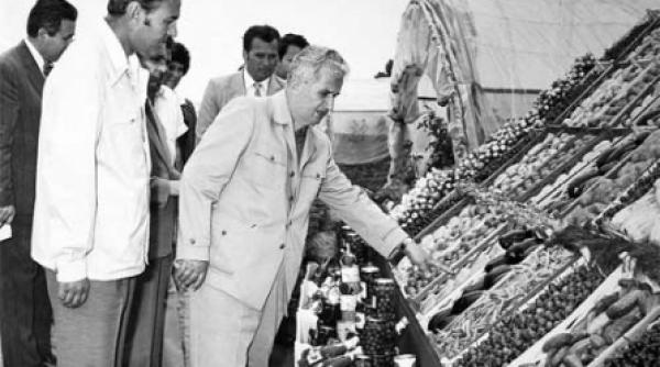 condamnarea la foame programul de alimentatie stiintifica a populatiei