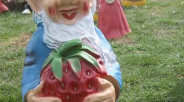 piticul cocalar cauta pitica pitipoanca