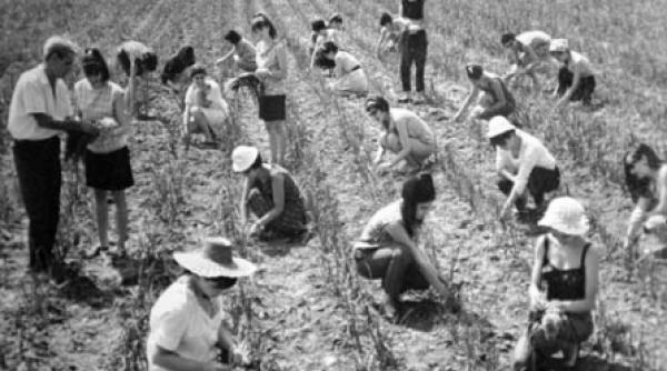 studenti la muncile patriotice