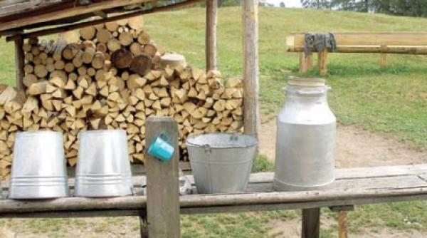 tara tara vrem ciobani