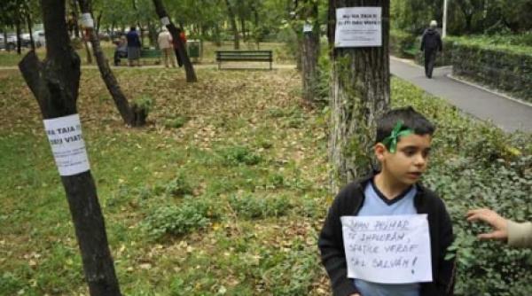 alt spatiu verde amenintat de beton