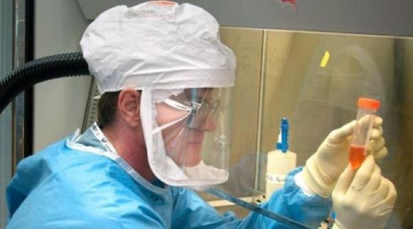 alte sase cazuri de gripa porcina confirmate in romania