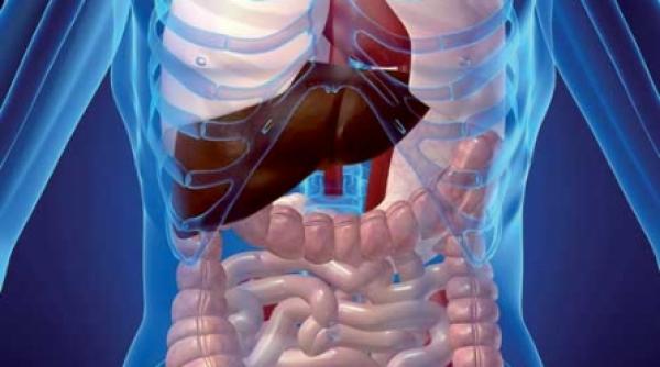 unde se afla filialele raului