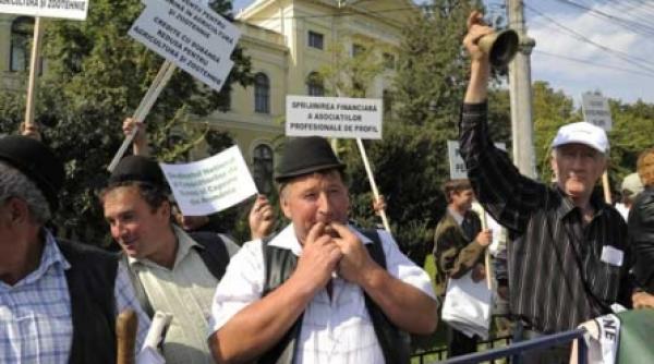 varza catre populatie