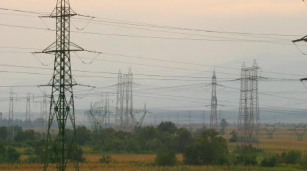 creditele ingroapa baietii destepti