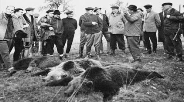 cu tovarasul la vanatoare