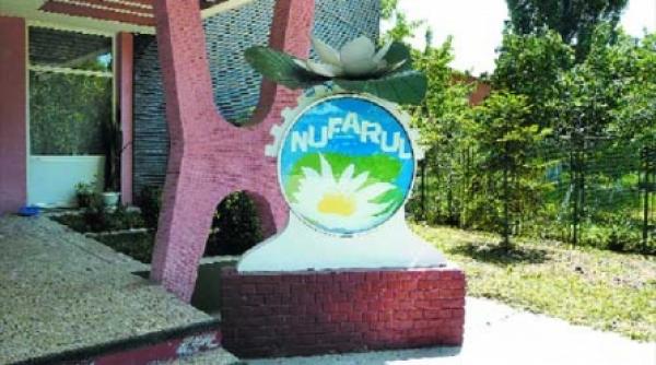 nufarul curata petele bucurestenilor