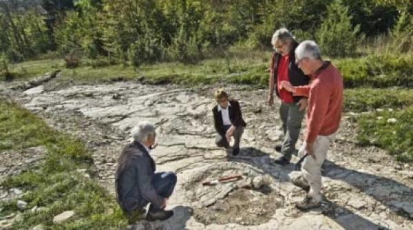 amprente rare vechi de 150 de milioane de ani