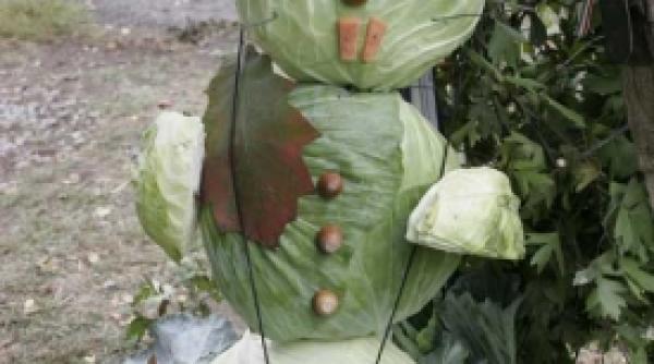 festivalul international al sarmalelor de la praid