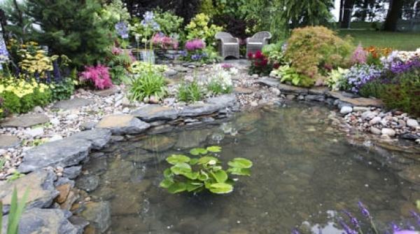 o gradina cu iaz plina de farmec