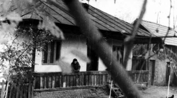 moromete e la el acasa peste tot