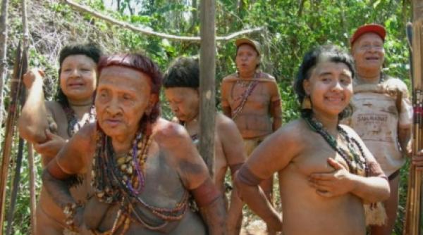 tribul akuntsu au mai ramas cinci