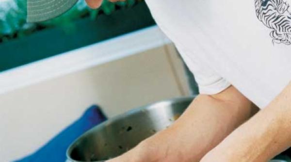 lectii de bucatarie cu jamie oliver