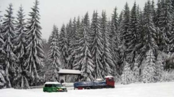 cavnic soare si zapada excelent pentru schi