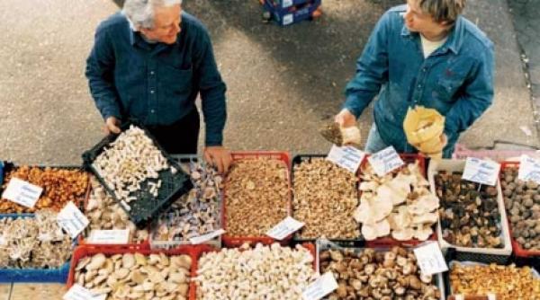 minunea de la rotherham