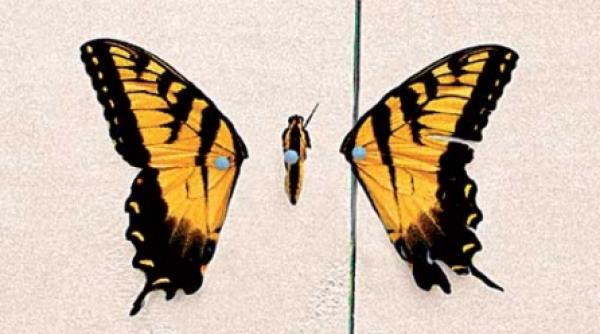 discuri pentru player