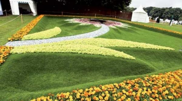 amenajari pentru ronduri publice si private