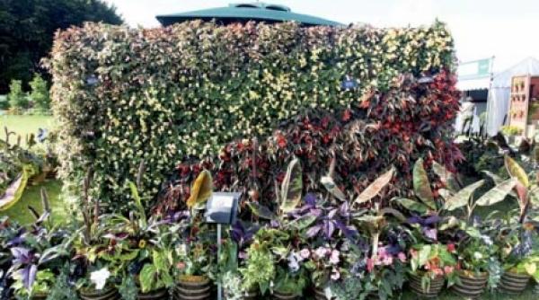 gradina verticala in centrul atentiei