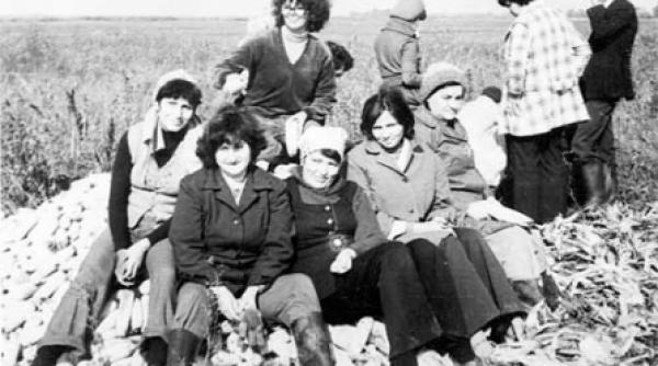 secretarul de partid batea cadrele didactice pe camp