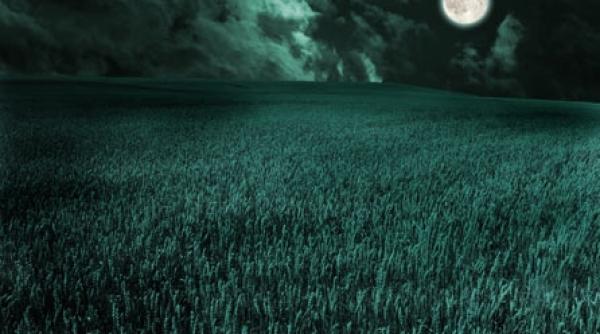 morcovul de al doilea patrar