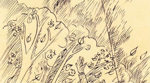 recviem pentru tanase 15