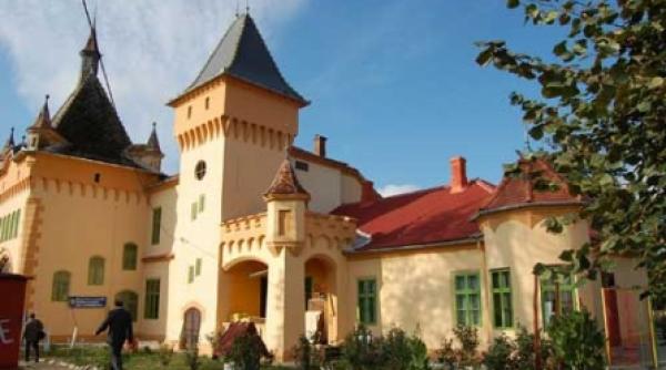 2 5 milioane de euro pentru istoria aradului