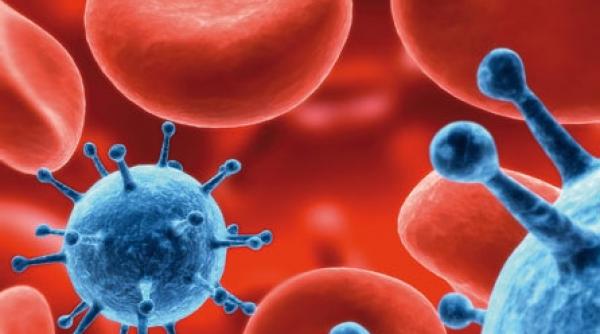 virusul c intre aiureli si vorbe adevarate