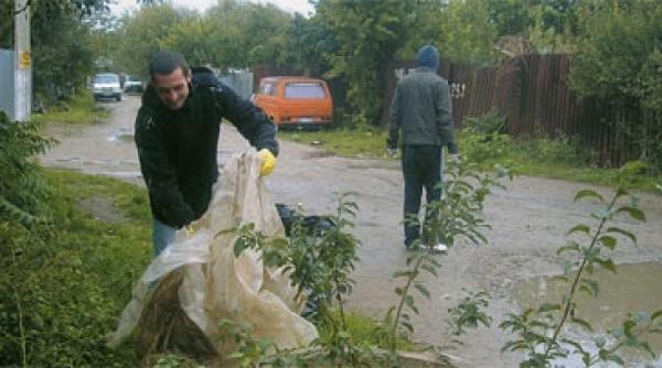 harta scolilor verzi din romania