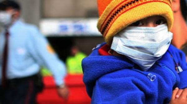 de la gripa porcina de import la gripa porcina autohtona