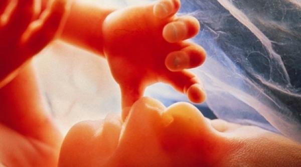 transplantul de uter posibil in doi ani