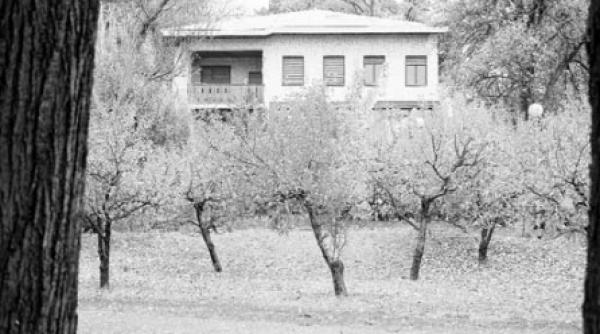 elena ceausescu nasa de cumetrie