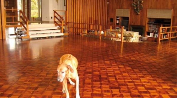 decoratie sub forma de parchet mozaic