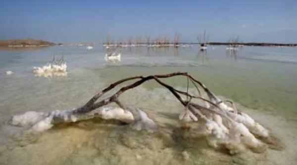 marea moarta moare de tot